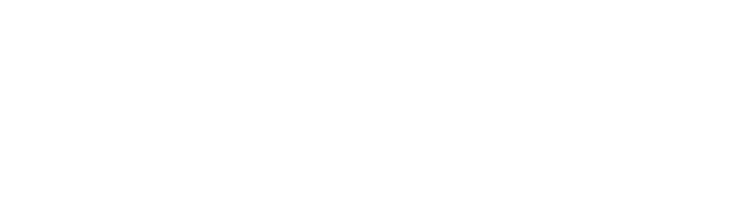 nis2.one-logo-1